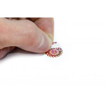 Master security hologram sticker High Quality