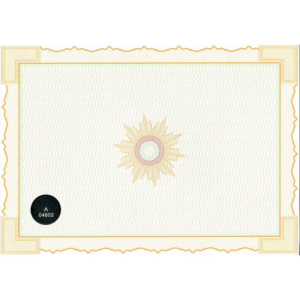 Universal guilloche paper with pressed numbered hologram with landscape orientation